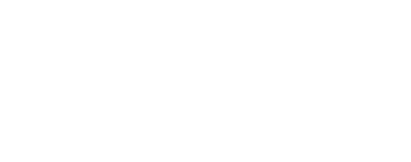 Aegis Festival